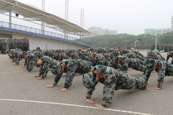 bevictor伟德官网